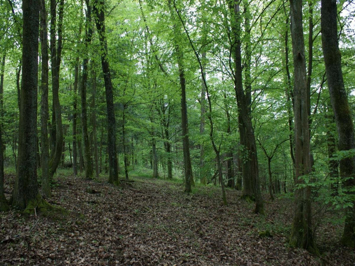 L'Ermitage Du Rebberg Villa Urmatt Bagian luar foto